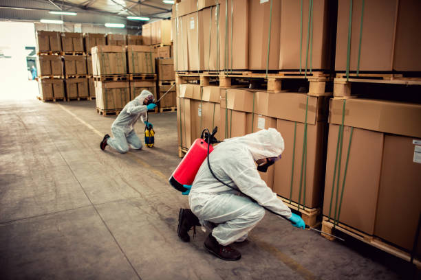 Best Pest Inspection Near Me  in Caruthersville, MO