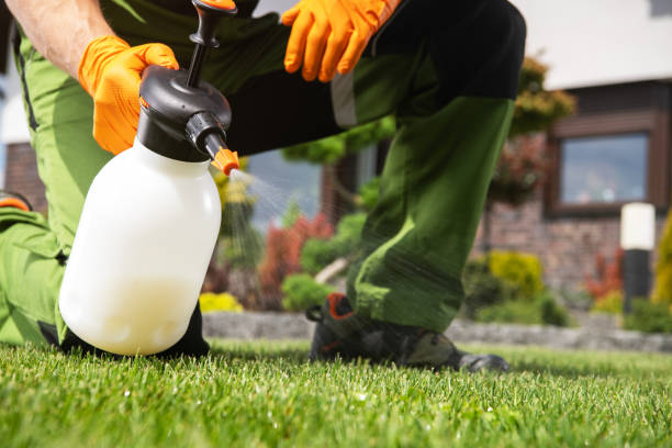 Best Emergency Pest Control  in Caruthersville, MO