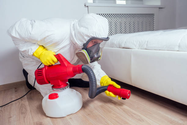 Best Flea Control Services  in Caruthersville, MO