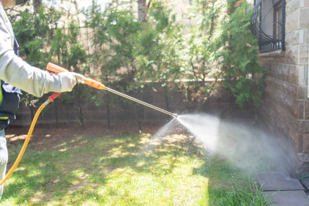 Best Termite Control Services  in Caruthersville, MO