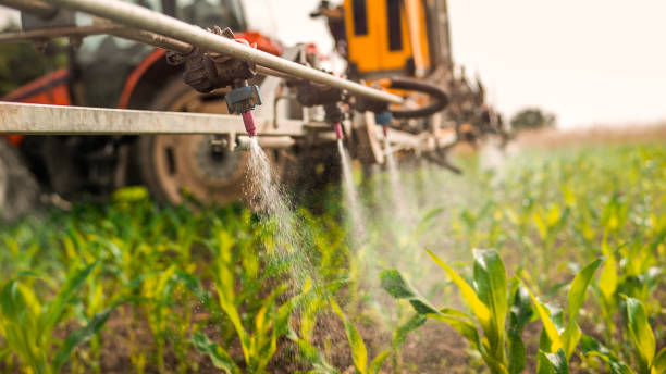 Best Best Pest Control Companies  in Caruthersville, MO